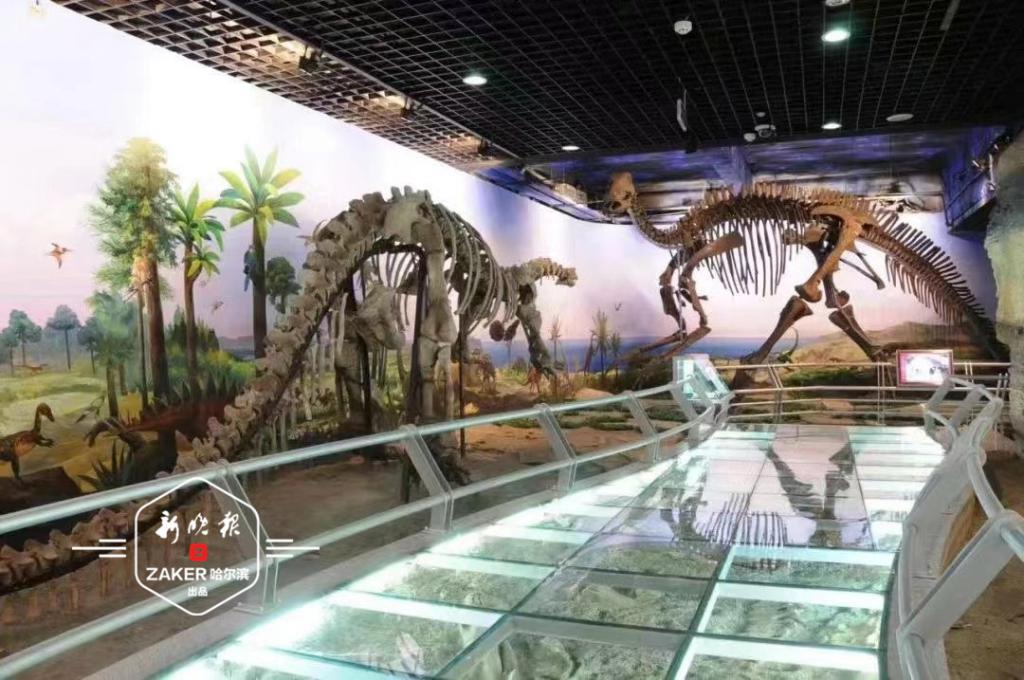 哈爾濱市有多少科普教育基地？